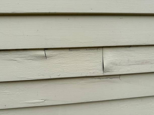 Best Property Management Cleanouts  in Marion, IN